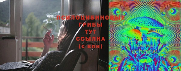 спиды Горнозаводск