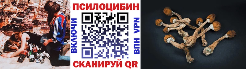 Галлюциногенные грибы Psilocybe  хочу   Рошаль 